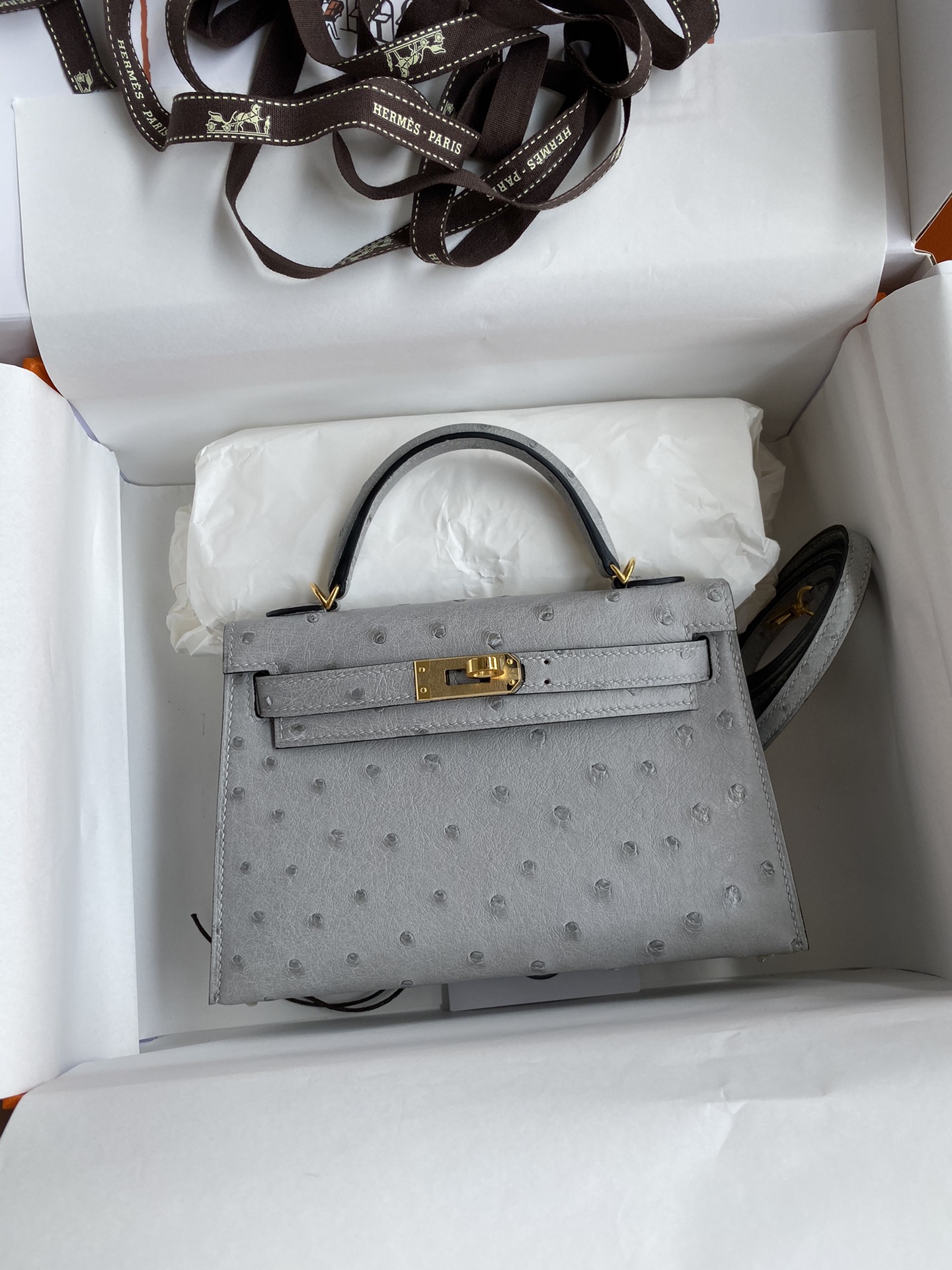 Hermes Kelly Mini II Bag 19CM In Grey Ostrich Leather